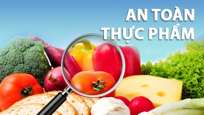 Lễ Phát Động Tháng Hành Động An Toàn, Vệ Sinh Lao Động Năm 2023 Lễ Phát Động Tháng Hành Động An Toàn, Vệ Sinh Lao Động Năm 2023